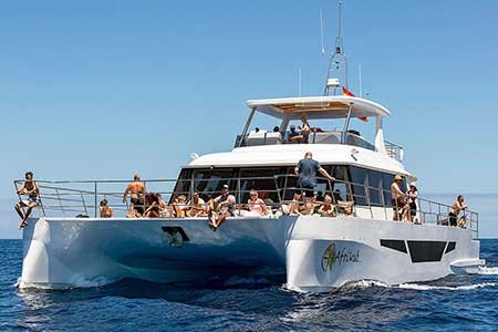 Exclusiv Katamaran Boot Morgens kreuzfahrt Gran Canaria Boat Trips 2025