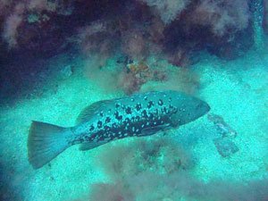 Click to see more photos