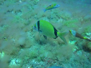 Click to see more photos